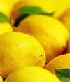 Zitrone Öl<br>Citrus limonum